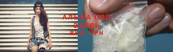 СК Зеленокумск